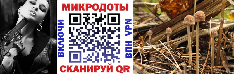 ОМГ ОМГ ТОР  Богородск  Псилоцибиновые грибы мицелий  как найти наркотики 